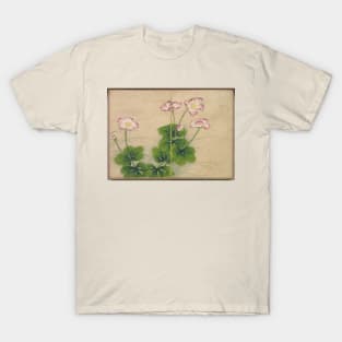 Mallow Flowers (Flower and Bird Paintings) by Zhang Ruoai T-Shirt